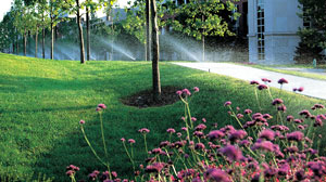 Commercial landscaping services at Sawyer Point Park and Yeatman's Cove