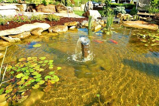 Water Gardens Ohio