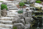 Ponds and Water Gardens