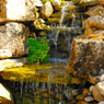 Ponds, Water Gardens, Fountains, Natural Waterfalls, Pondless Systems, Cascades, Streams