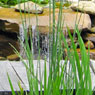 Ponds, Water Gardens, Fountains, Natural Waterfalls, Pondless Systems, Cascades, Streams