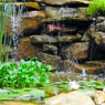 Ponds, Water Gardens, Fountains, Natural Waterfalls, Pondless Systems, Cascades, Streams