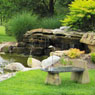 Ponds, Water Gardens, Fountains, Natural Waterfalls, Pondless Systems, Cascades, Streams