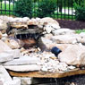 Ponds, Water Gardens, Fountains, Natural Waterfalls, Pondless Systems, Cascades, Streams