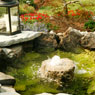 Ponds, Water Gardens, Fountains, Natural Waterfalls, Pondless Systems, Cascades, Streams