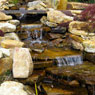 Ponds, Water Gardens, Fountains, Natural Waterfalls, Pondless Systems, Cascades, Streams