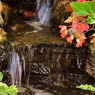 Ponds, Water Gardens, Fountains, Natural Waterfalls, Pondless Systems, Cascades, Streams