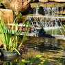 Ponds, Water Gardens, Fountains, Natural Waterfalls, Pondless Systems, Cascades, Streams