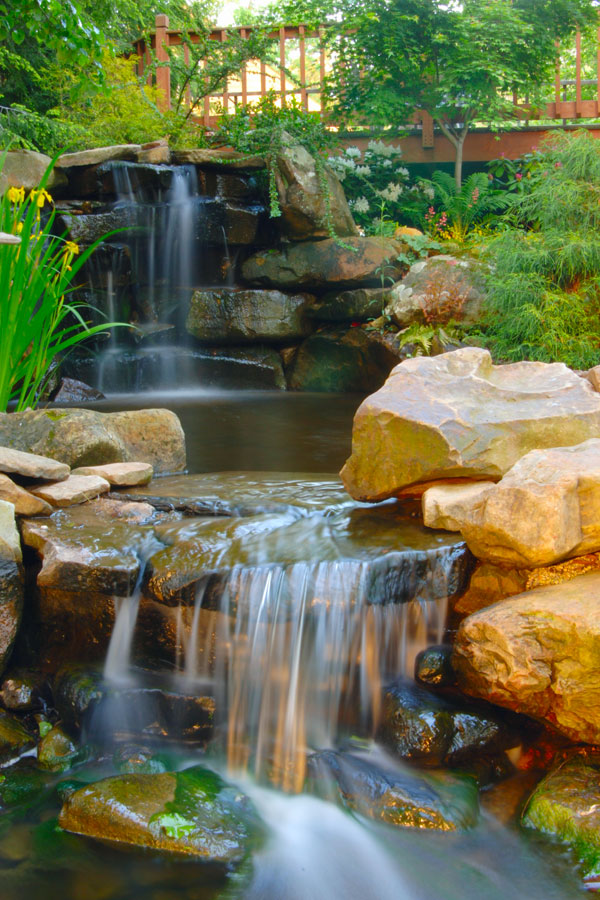 Ponds and Water Gardens Gallery | Allison Landscaping