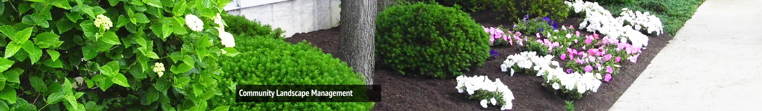 Community Landscape Management