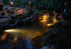 Landscape Lighting